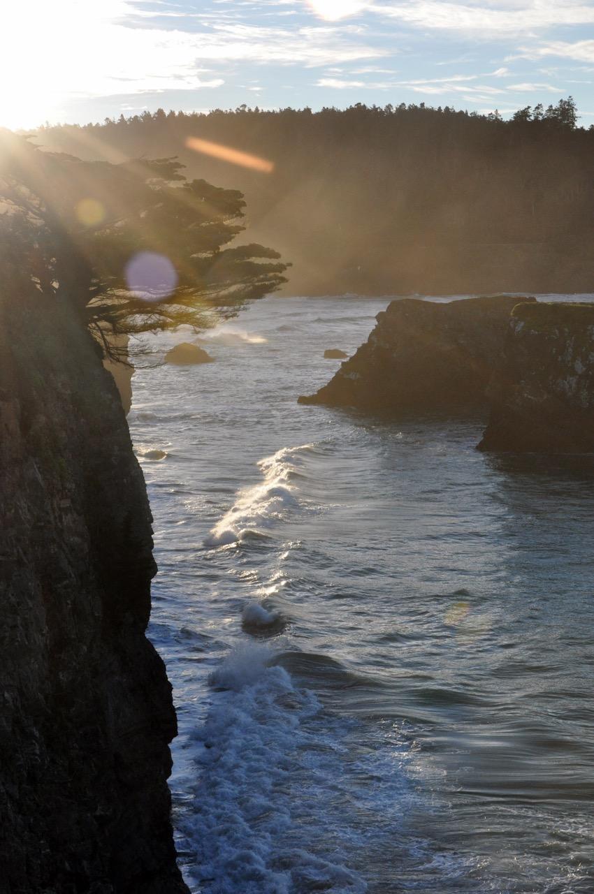 Morning Walk in Mendocino - image 1 - student project