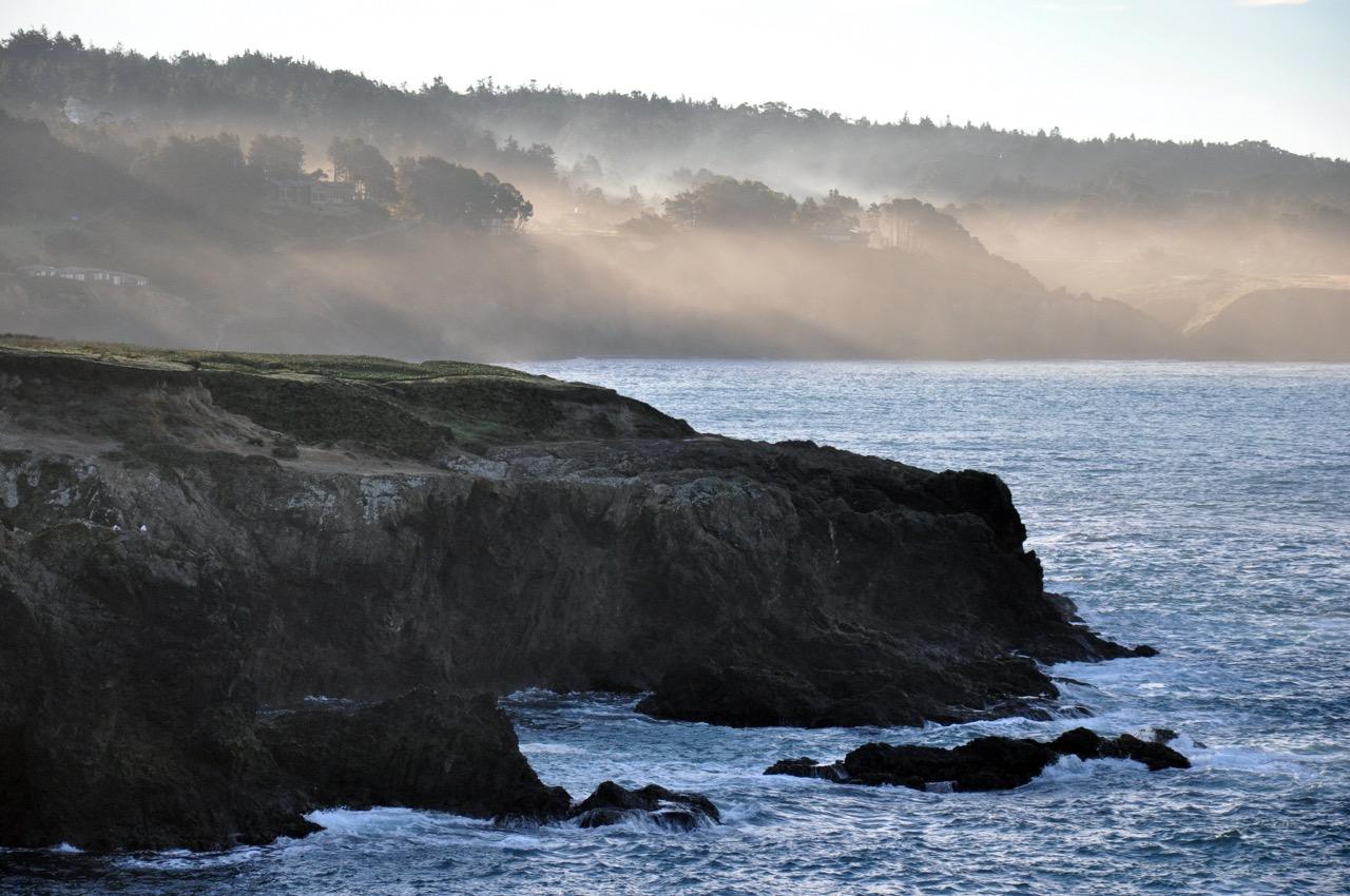 Morning Walk in Mendocino - image 5 - student project
