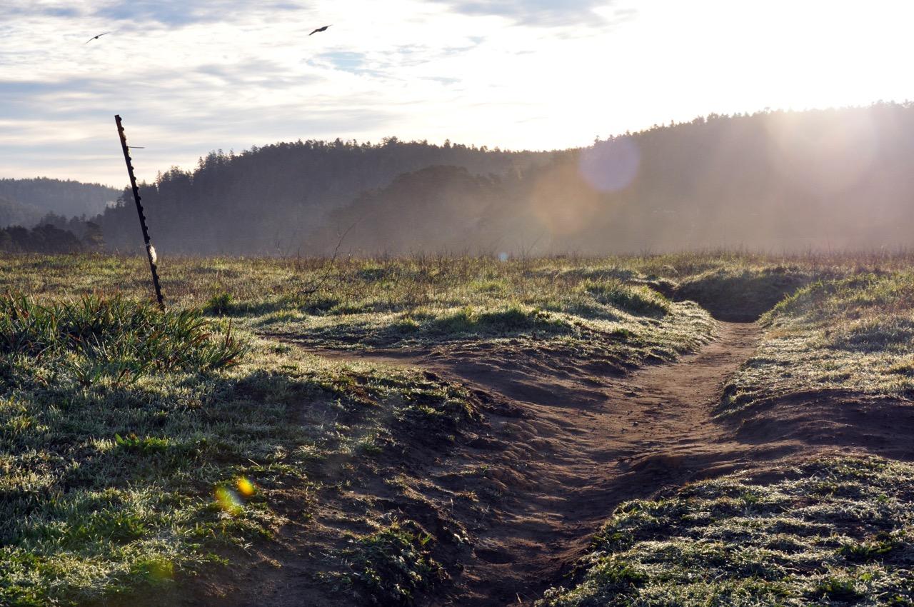 Morning Walk in Mendocino - image 2 - student project