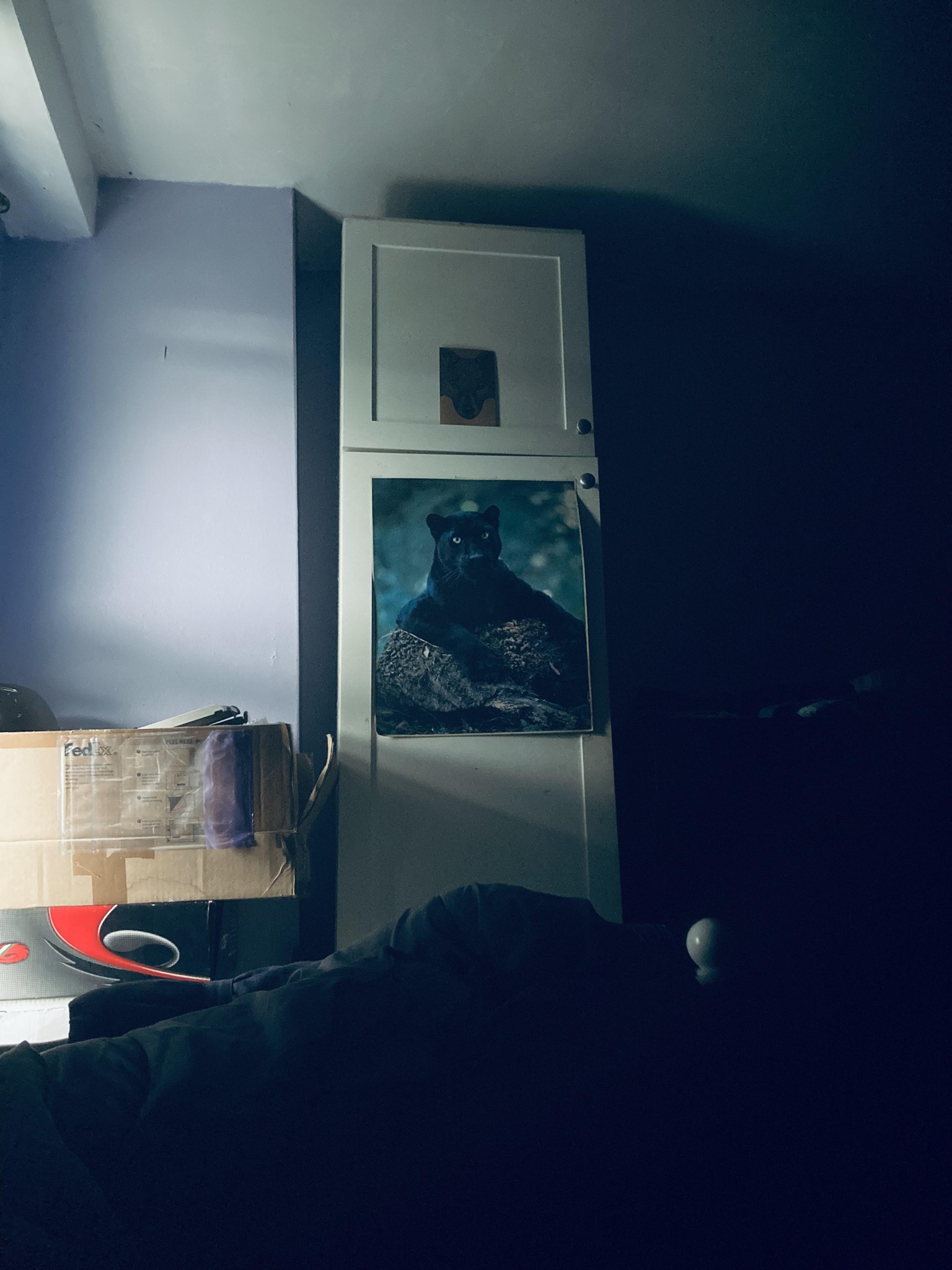 0. 1 Exposure / Vivid cool portrait / Shutter on Iphone not Find - image 1 - student project