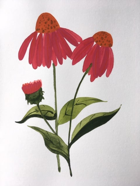 Leaves and flowers - image 2 - student project