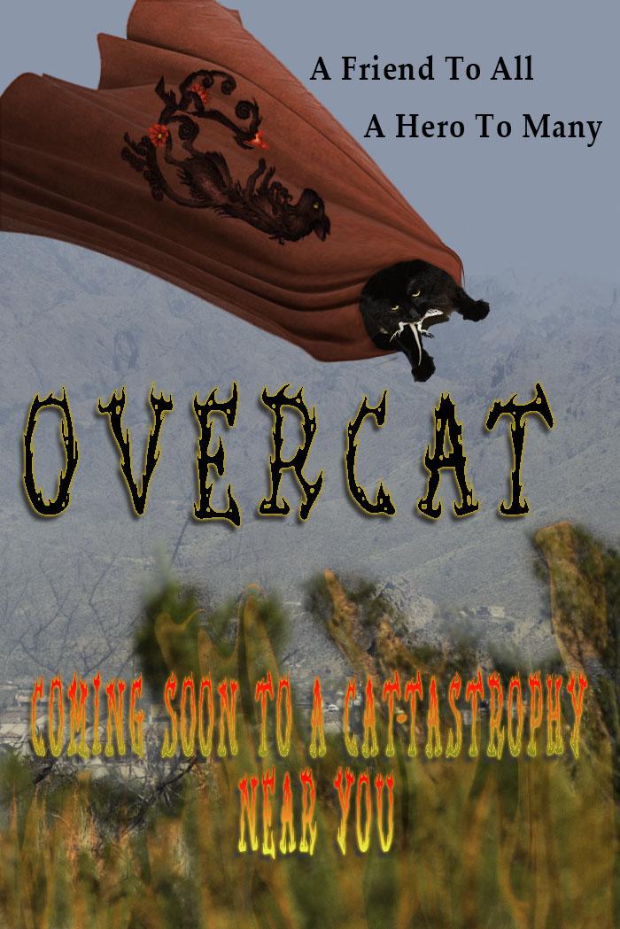 OVERCAT - image 1 - student project