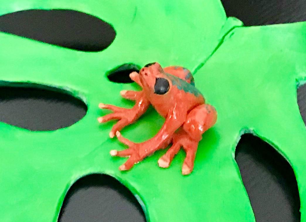 Miniature Frog Sculpture - image 2 - student project