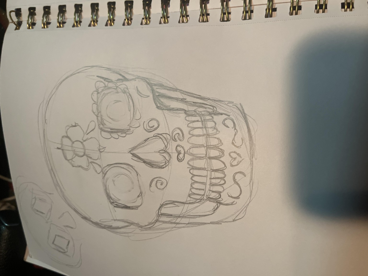 Drawing skulls - image 3 - student project