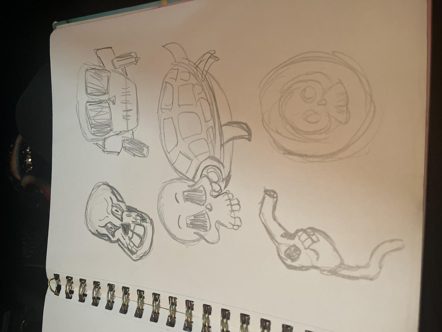 Drawing skulls - image 4 - student project