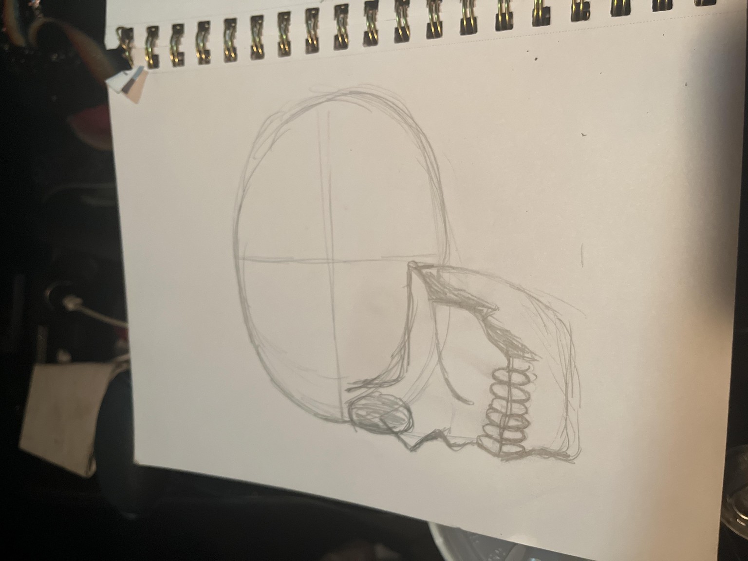 Drawing skulls - image 1 - student project