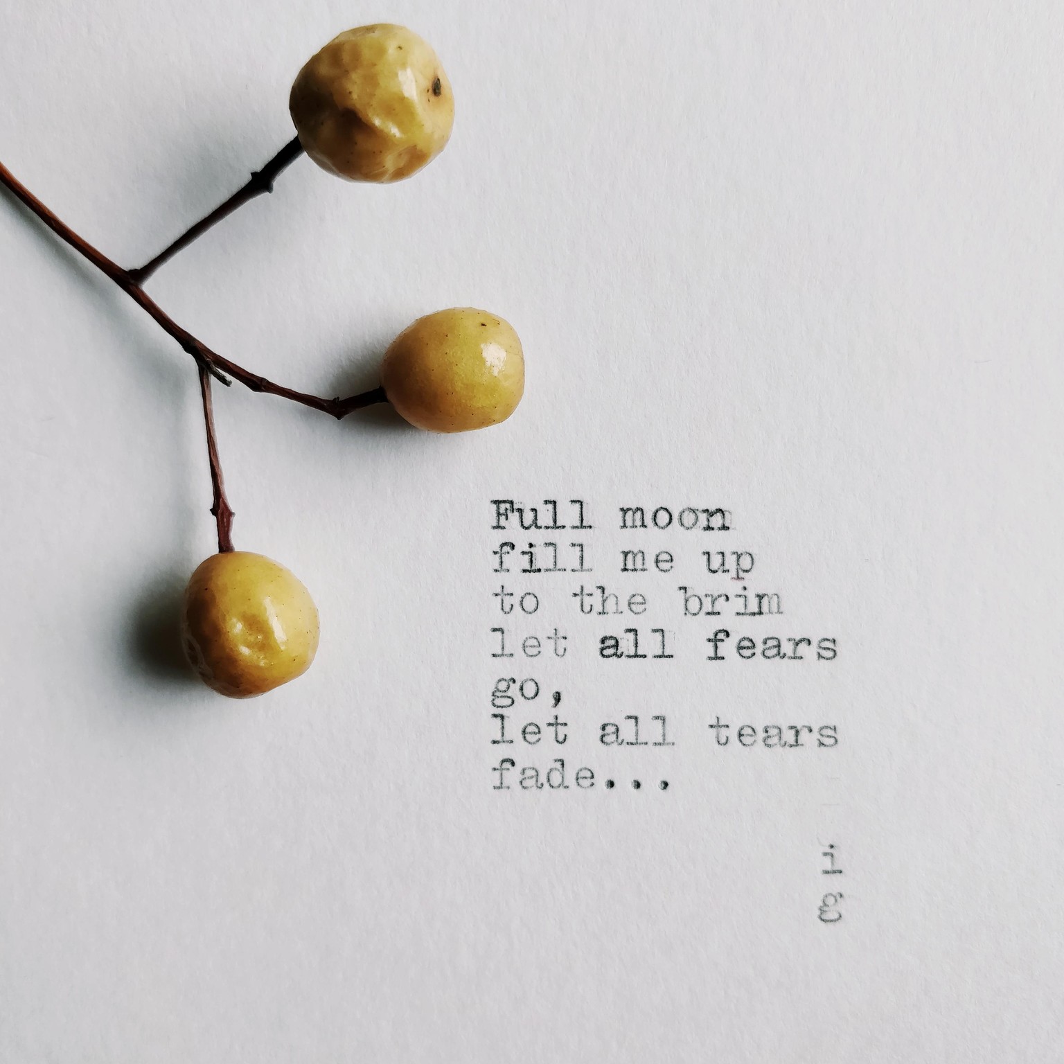 Full moon. - image 1 - student project