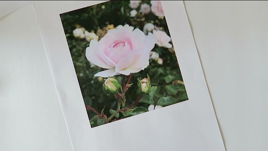 Floral illustration - image 4 - student project