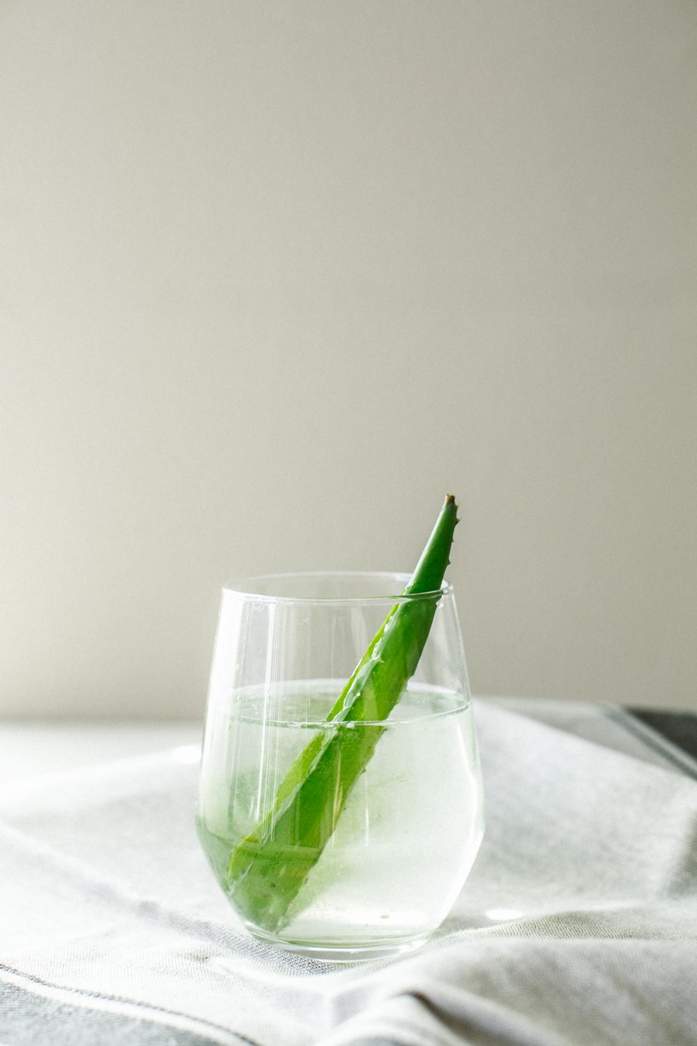 Aloe Juice  - image 1 - student project
