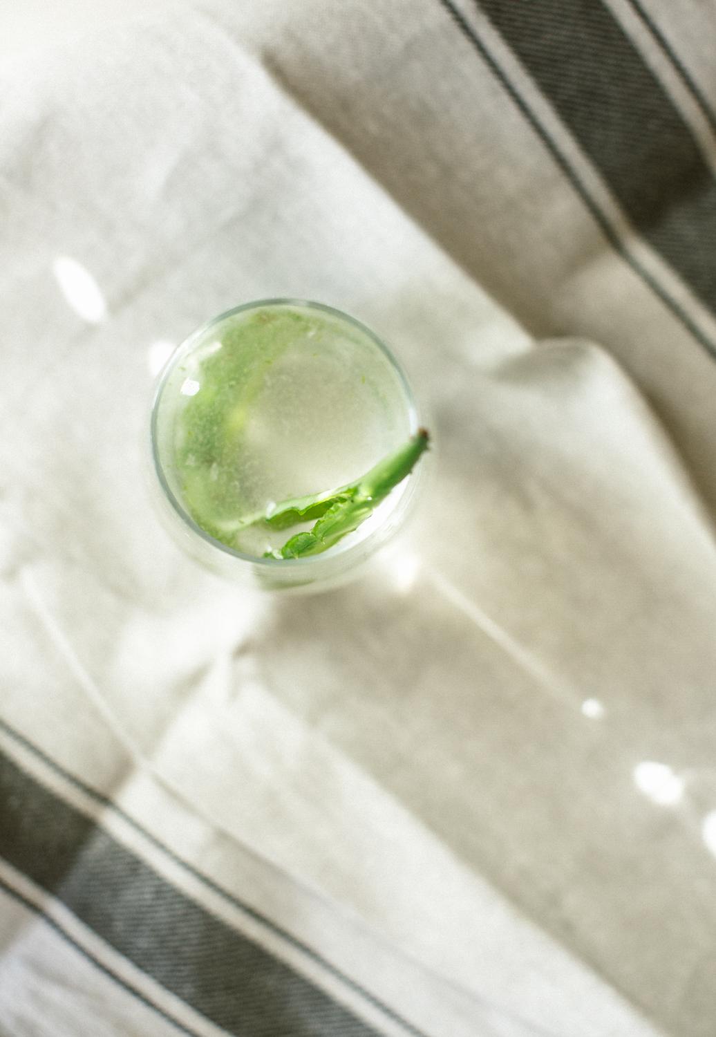 Aloe Juice  - image 2 - student project