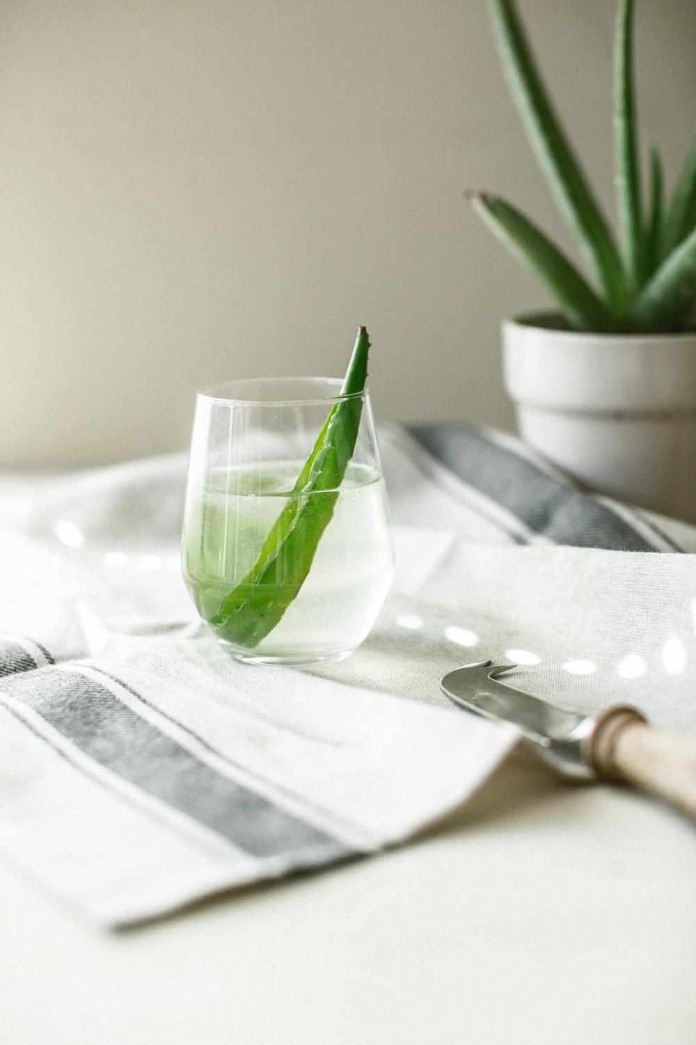 Aloe Juice  - image 3 - student project