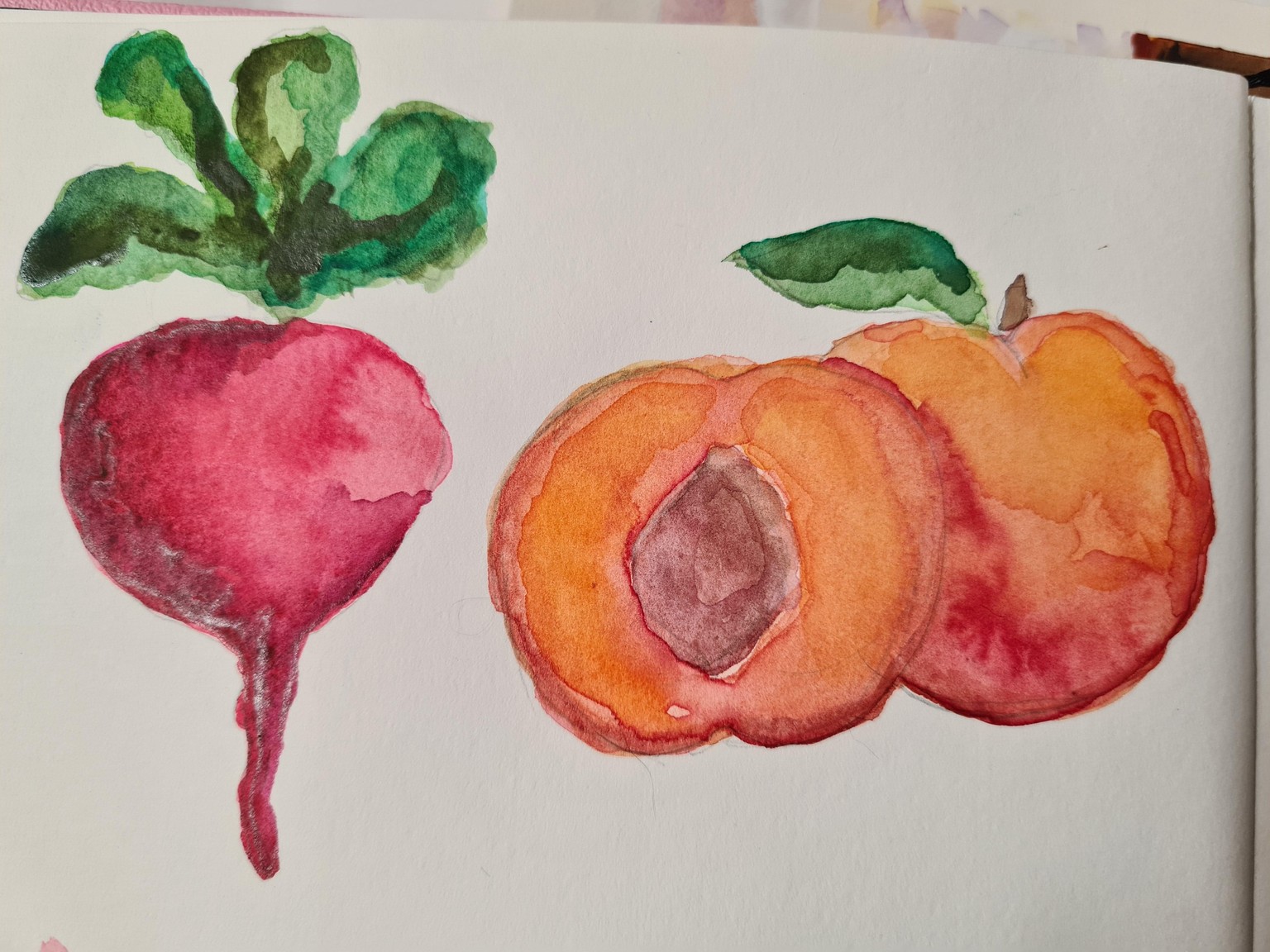 Watercolour Fruit (new to watercolour in June 2024) - image 2 - student project