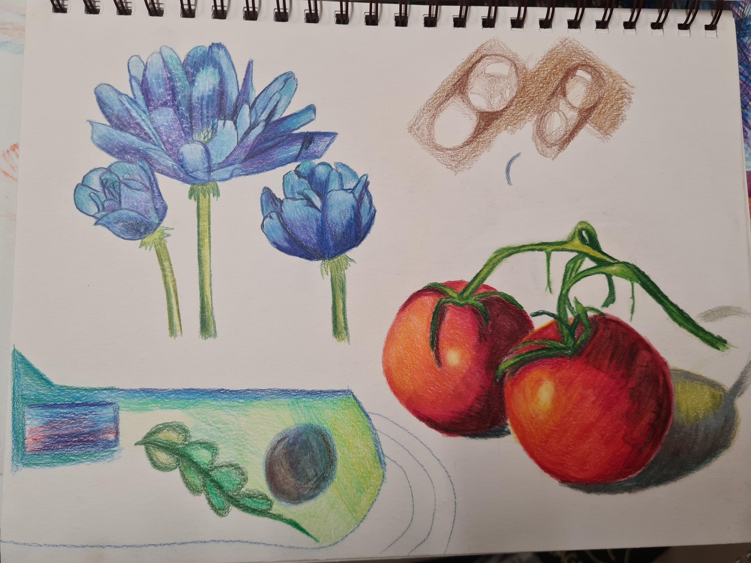 Evolving in Mixed Media coloring Sketchbook - image 3 - student project