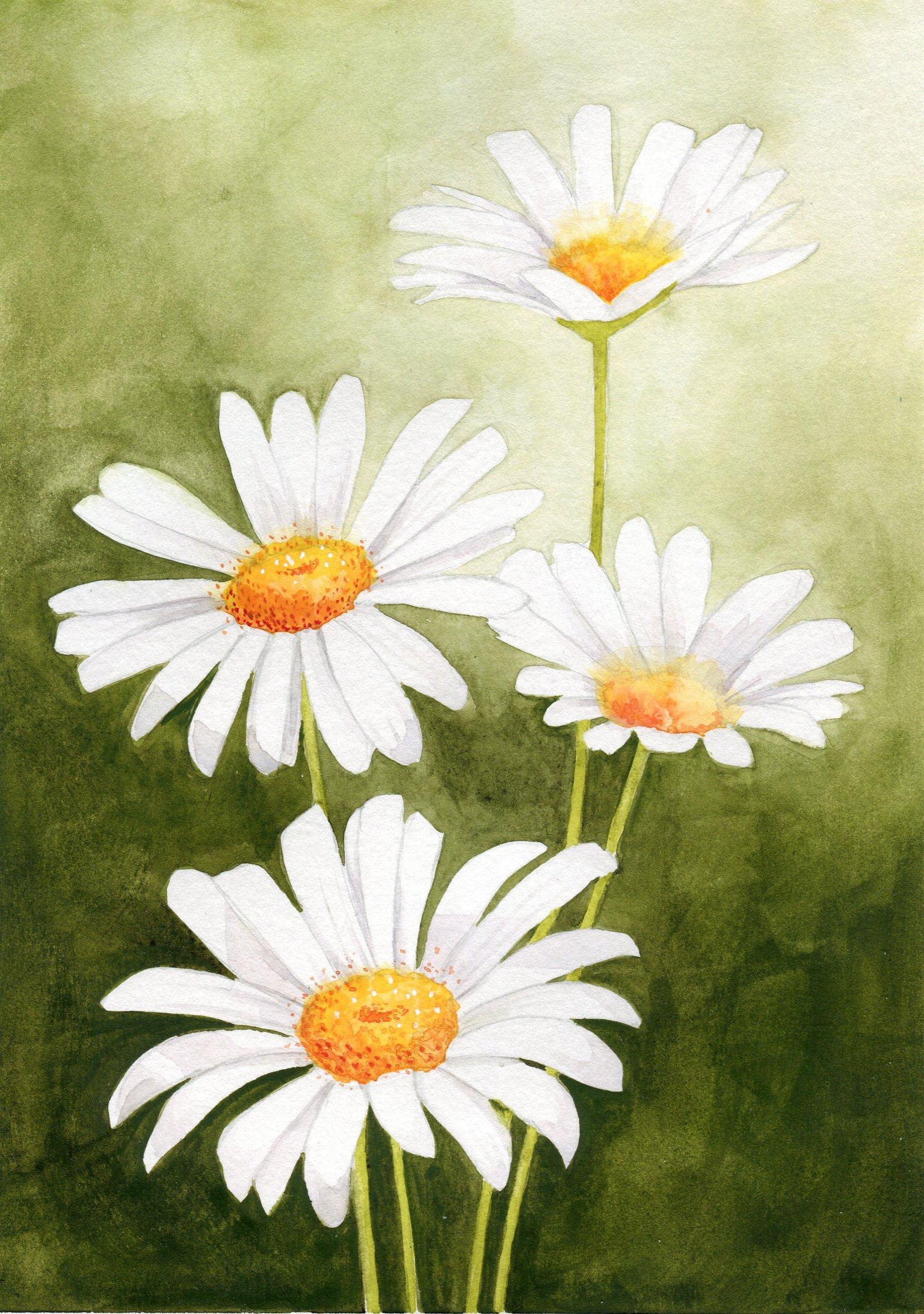 Chamomile - image 1 - student project