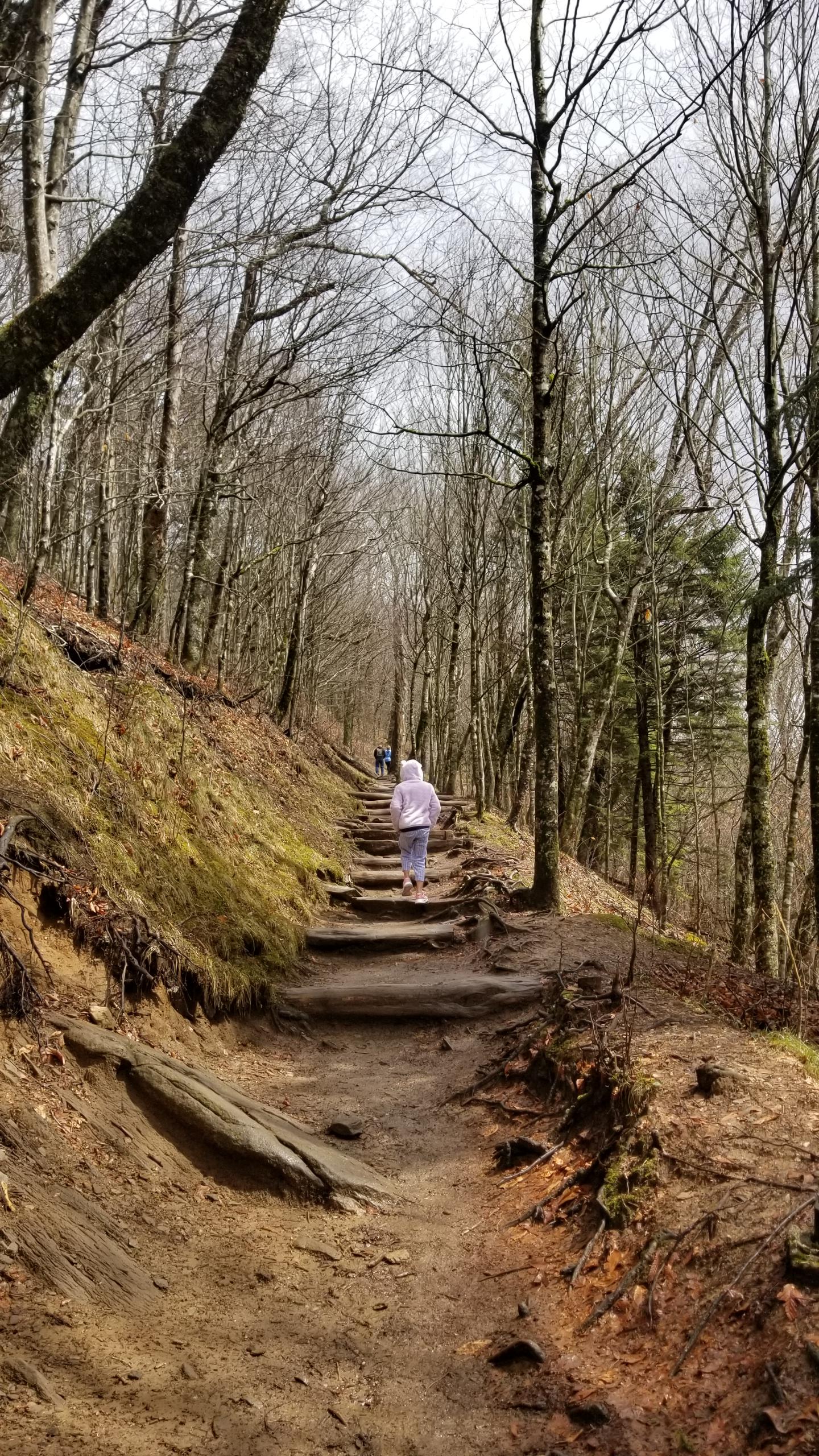 Smoky Mountains - image 1 - student project
