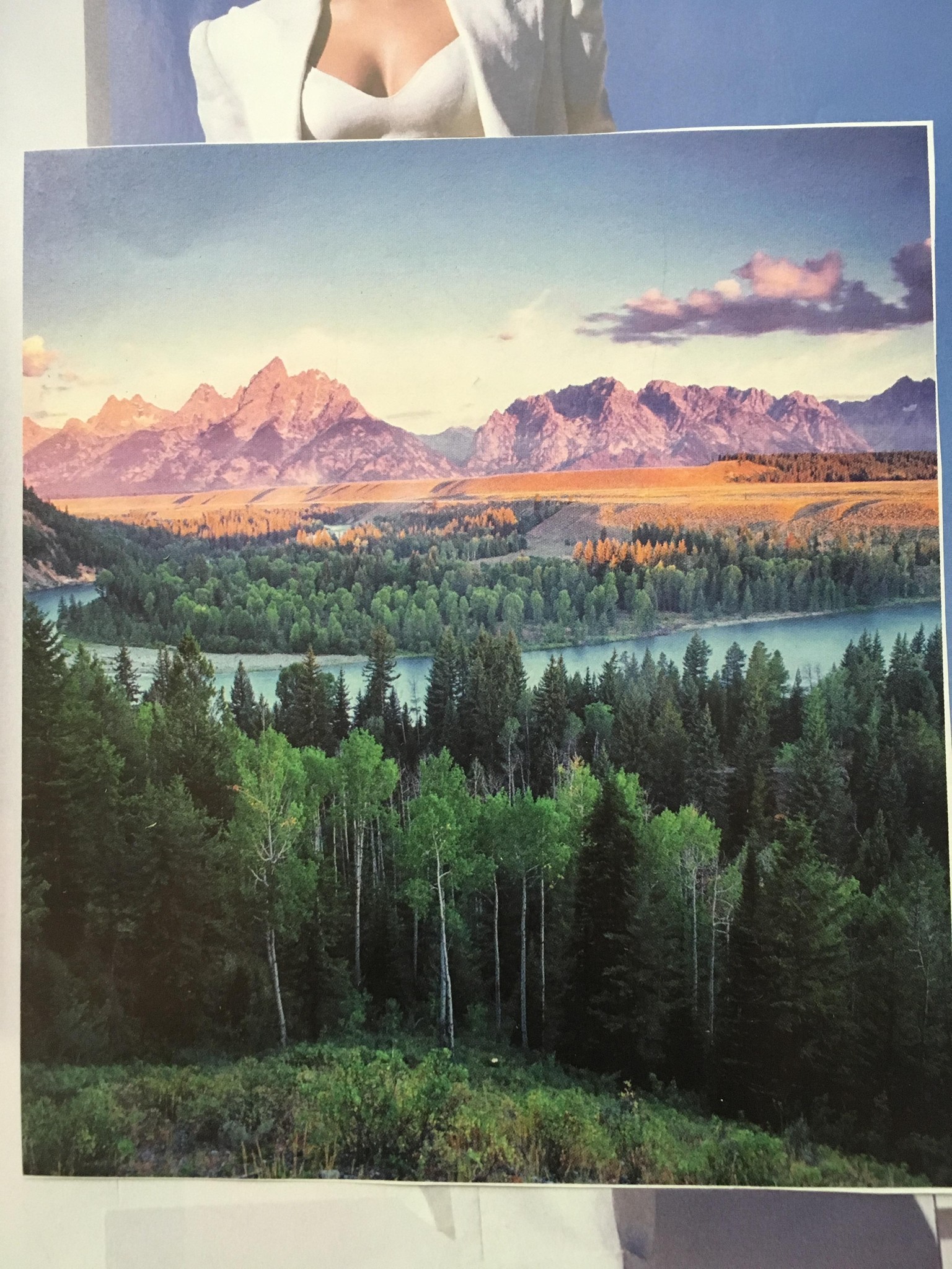 Native Land - image 2 - student project