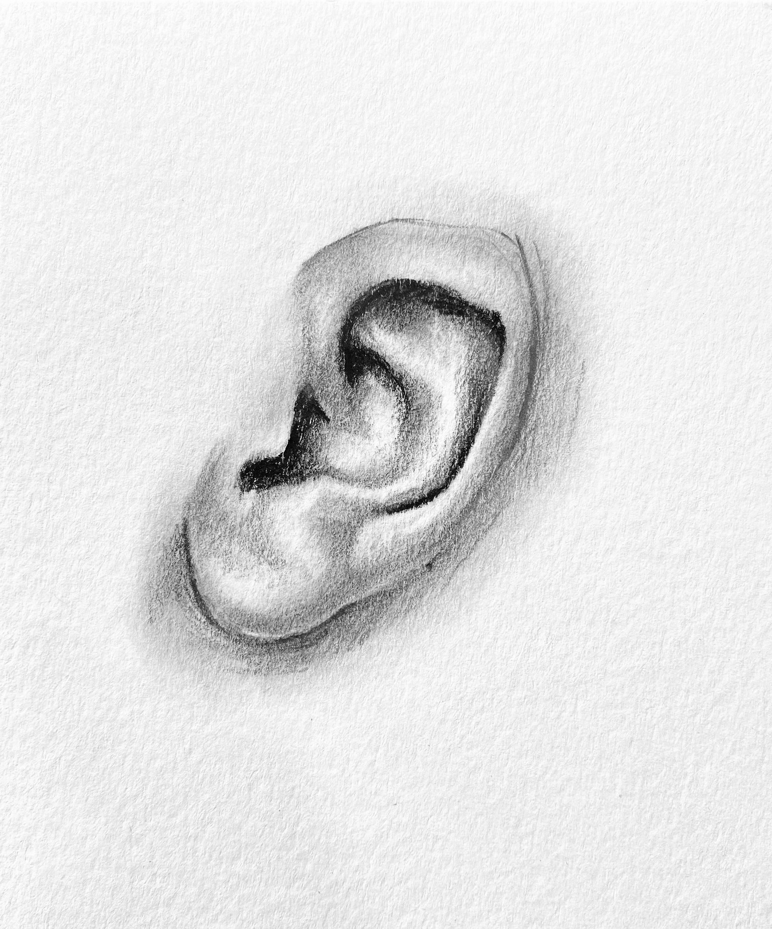 Freehand portrait drawing - image 3 - student project