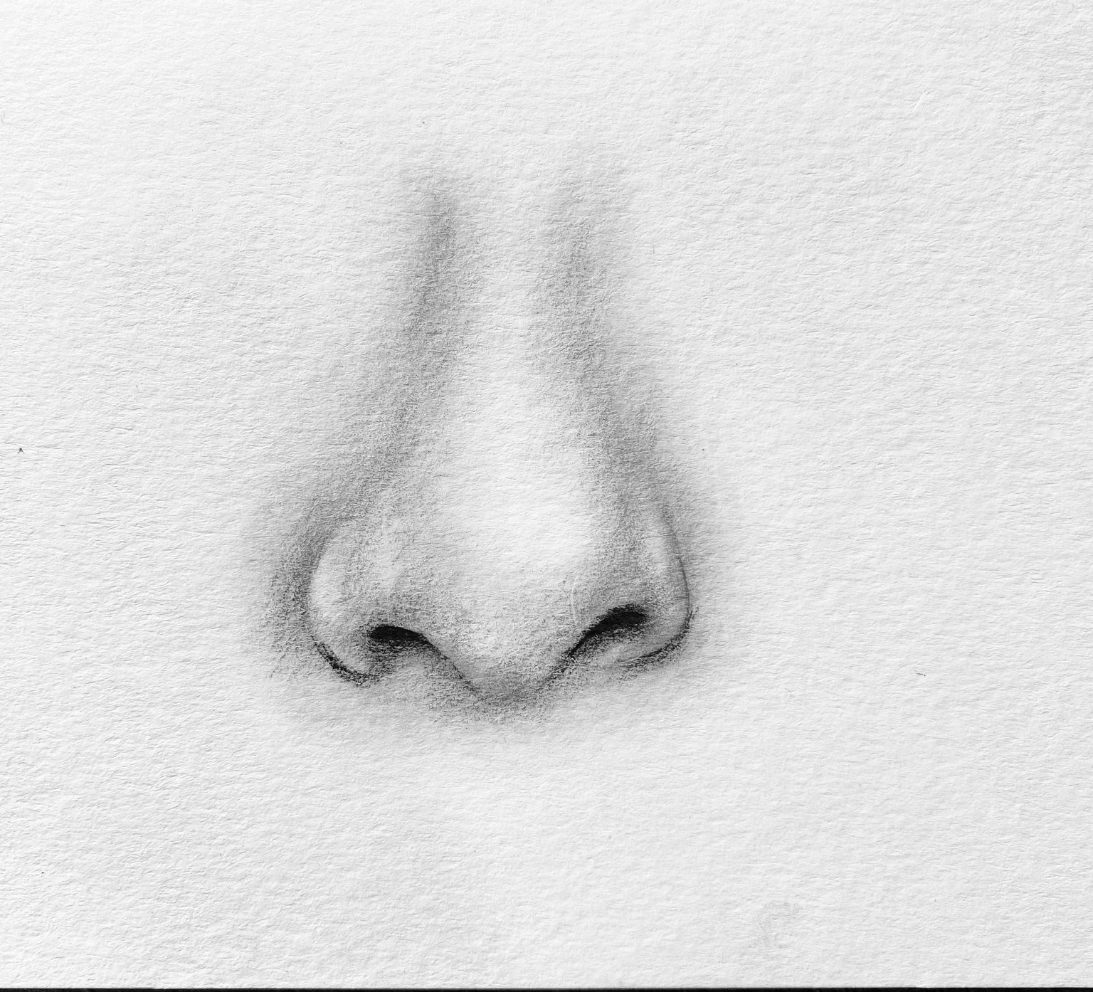 Freehand portrait drawing - image 2 - student project