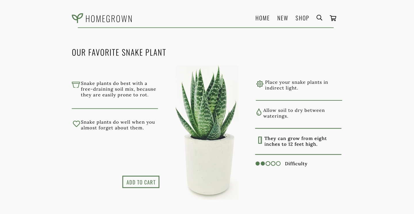 Noah Casey - image 4 - student project