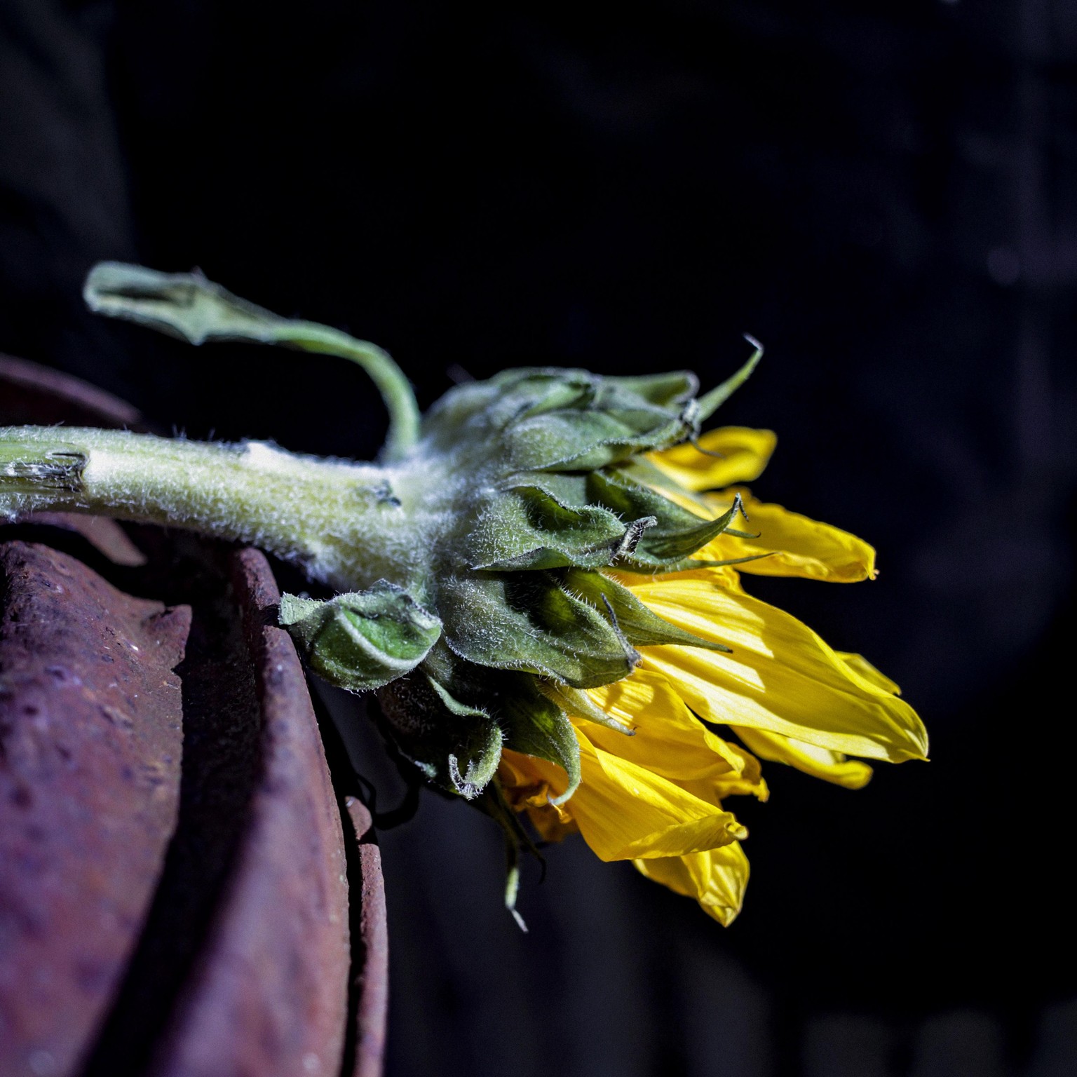 Composition and Creative Tools - image 1 - student project