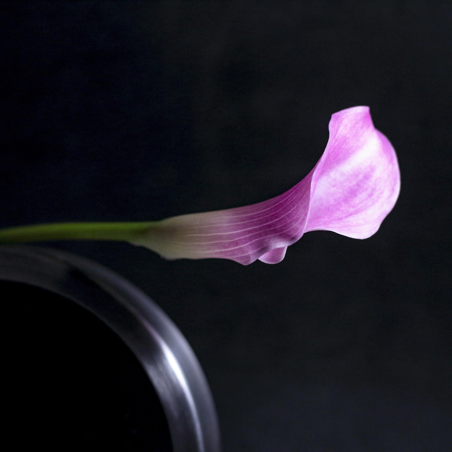 Stock Photography - image 4 - student project