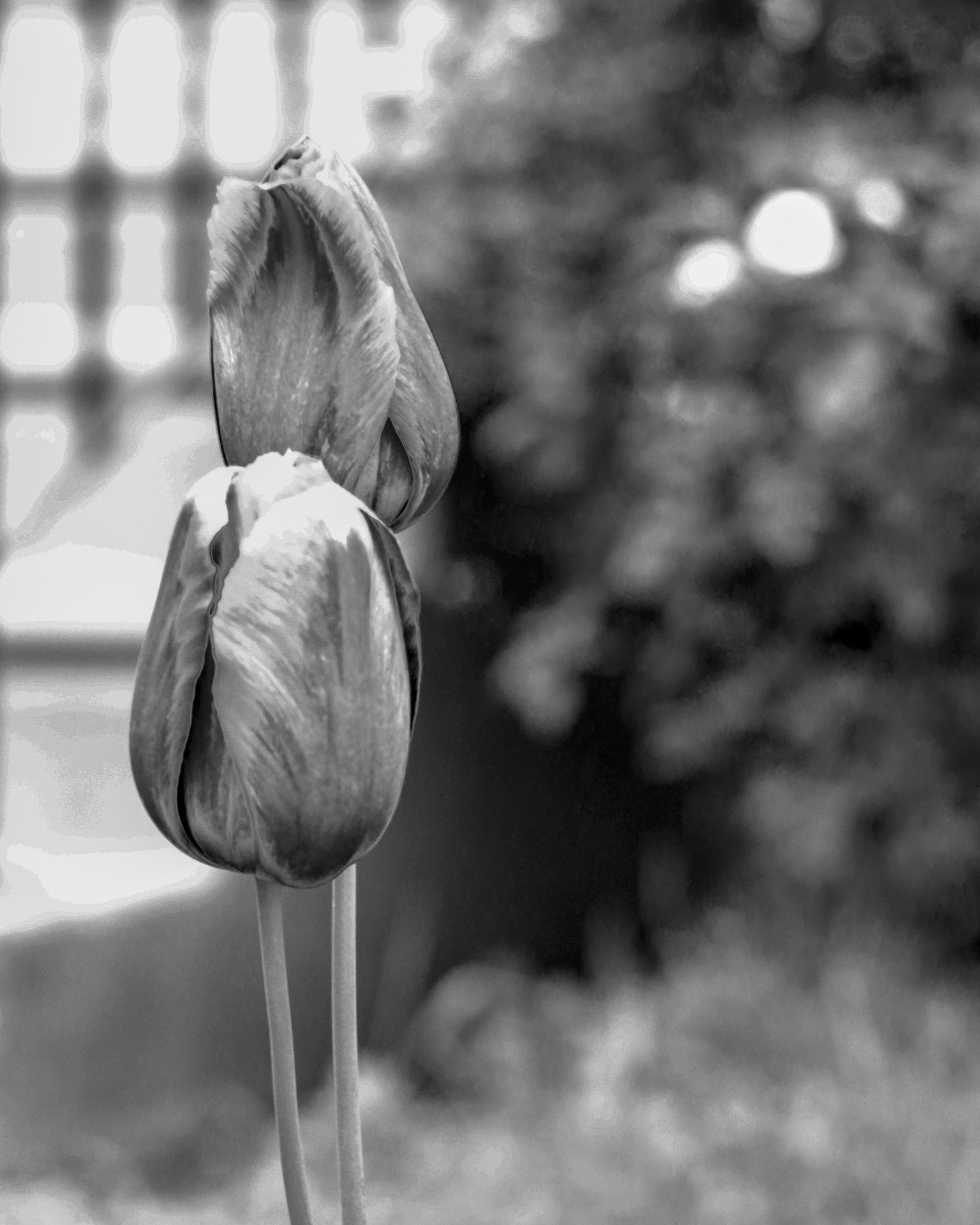 Composition and Creative Tools - image 2 - student project