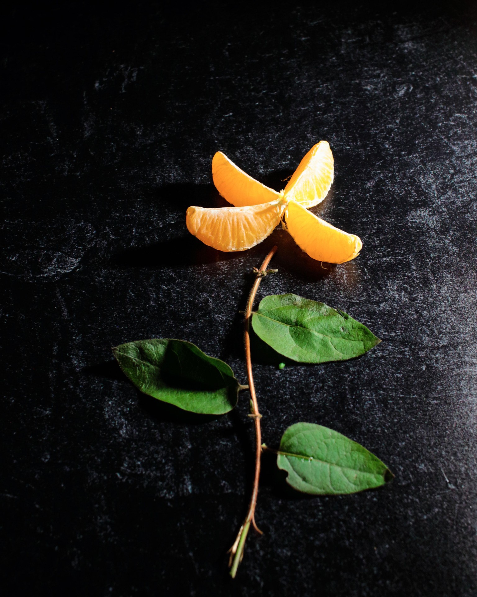 Stock Photography - image 3 - student project