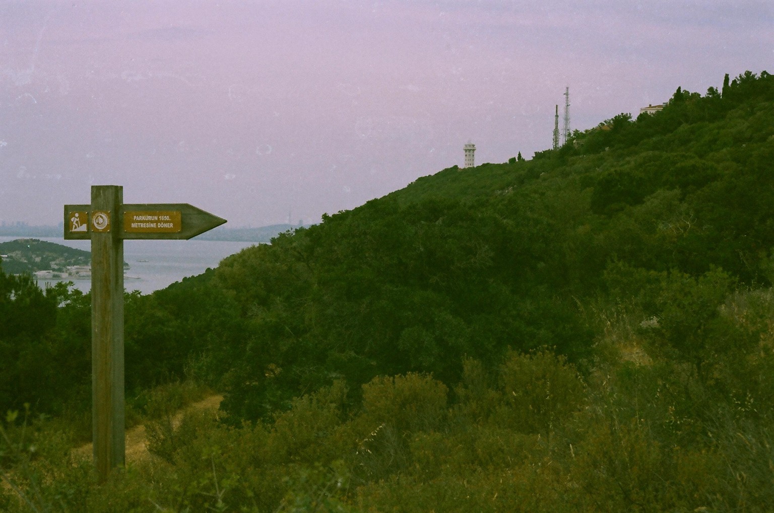 My first rolls - image 1 - student project