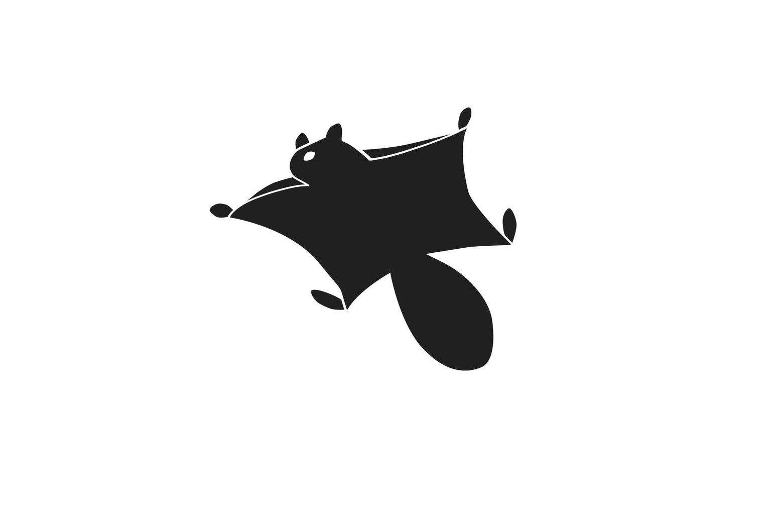 Flying Squirrel Logo - image 4 - student project