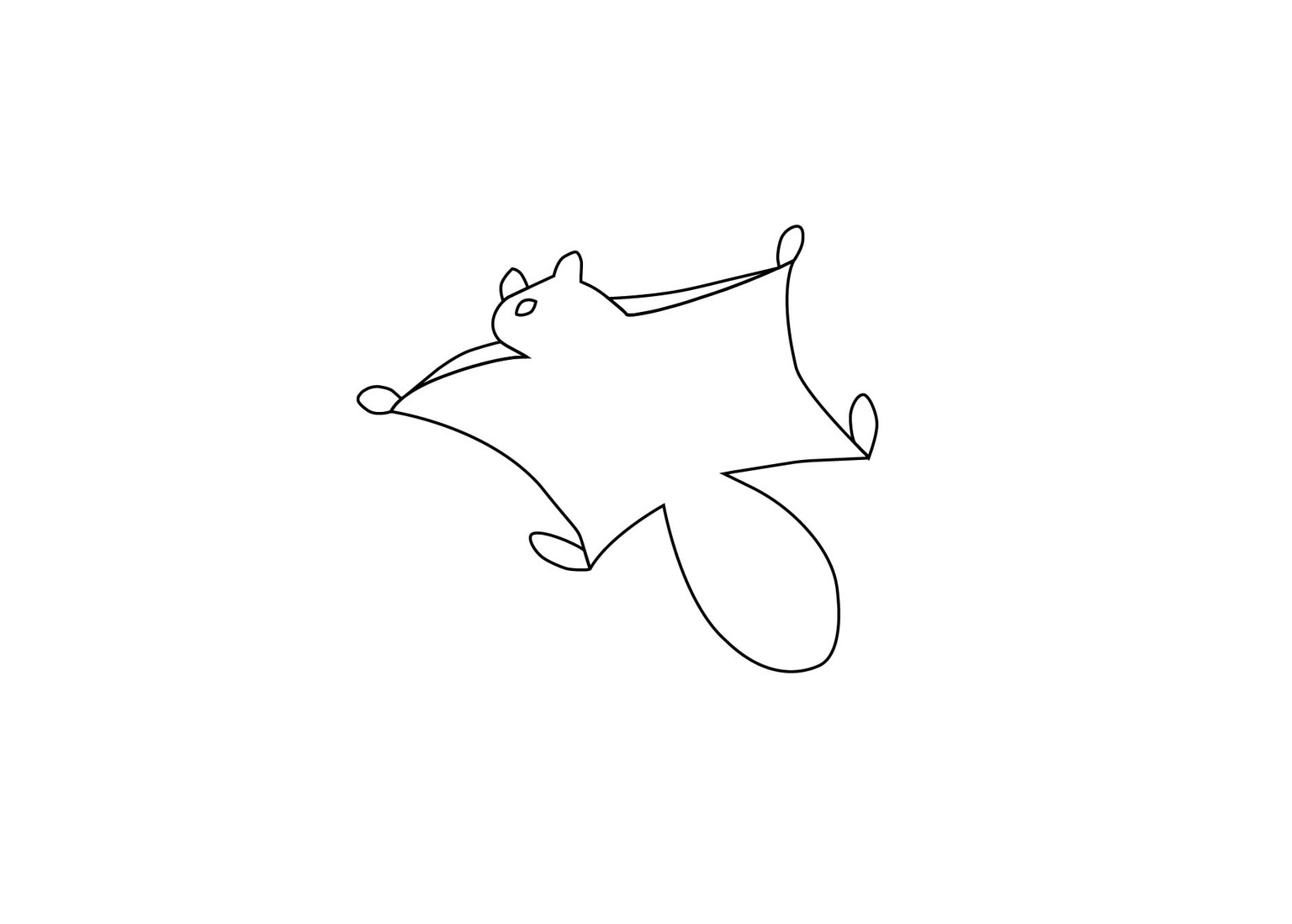 Flying Squirrel Logo - image 3 - student project