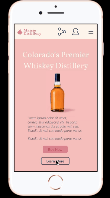 Project  Completion | Maisie Distillery - image 3 - student project