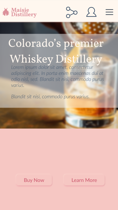 Project  Completion | Maisie Distillery - image 7 - student project