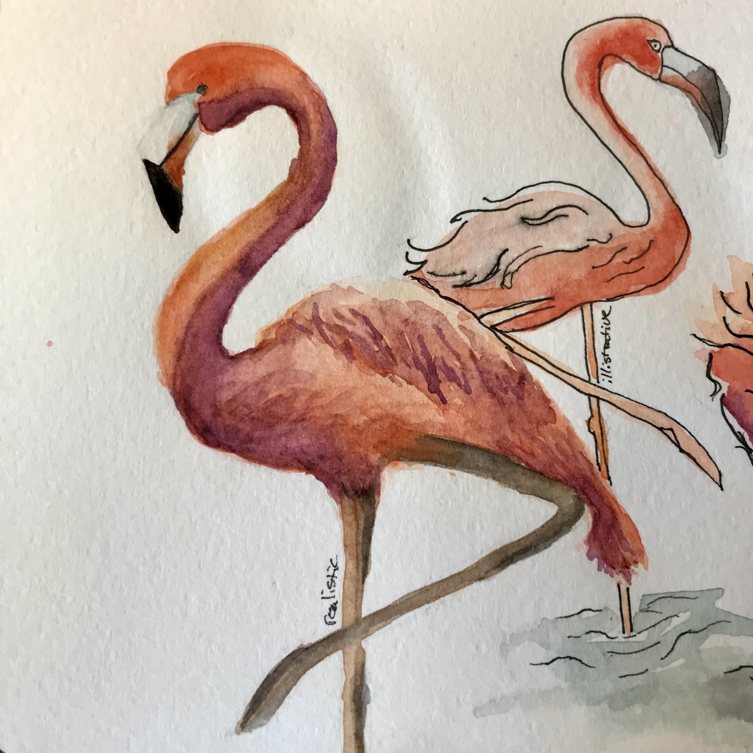 Flamingos in different styles - image 1 - student project