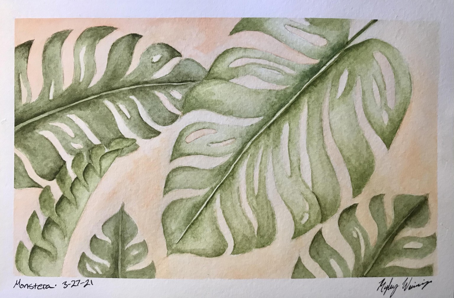 Monstera Leaf Study - image 1 - student project