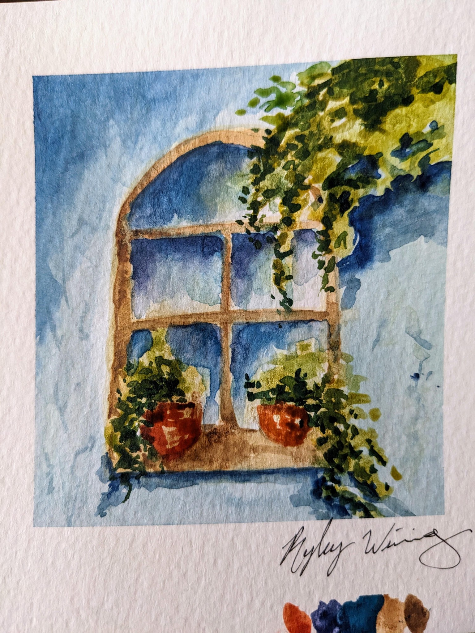 Loose Watercolor Door & Window Study - image 2 - student project