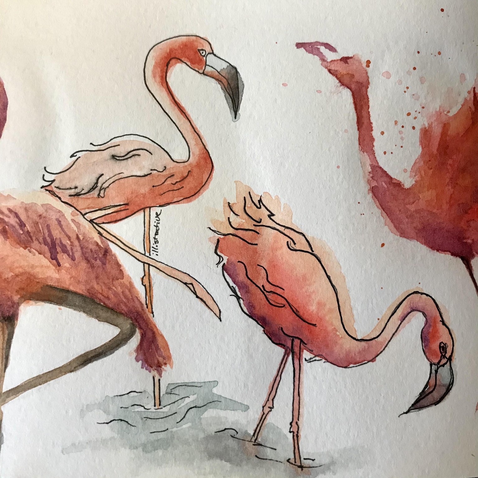 Flamingos in different styles - image 2 - student project