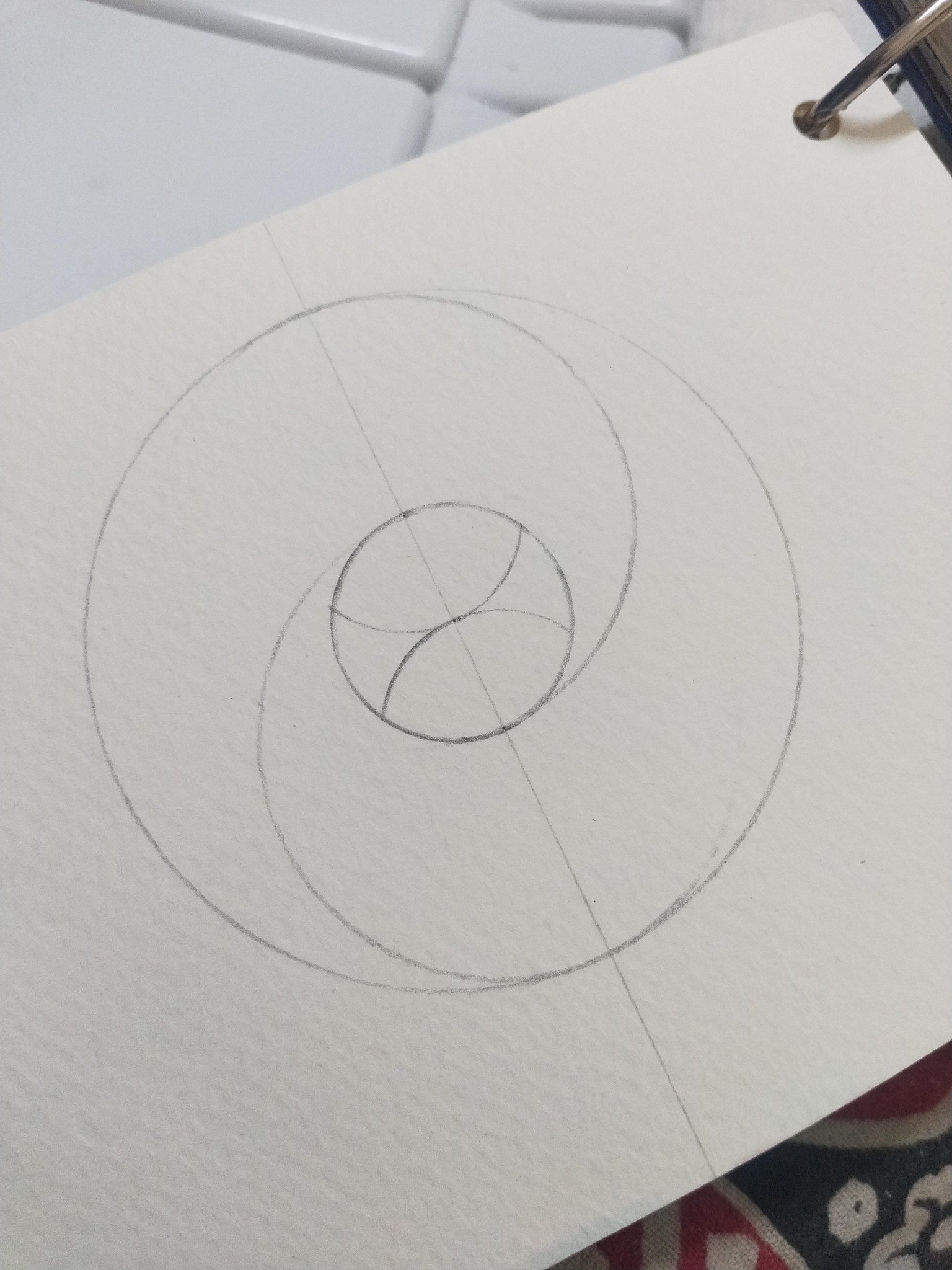 Vesica Piscis - image 4 - student project