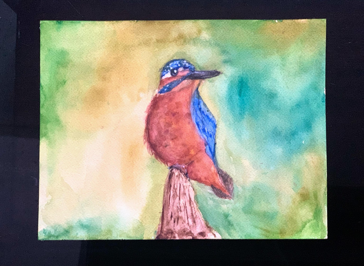 Kingfisher - image 1 - student project