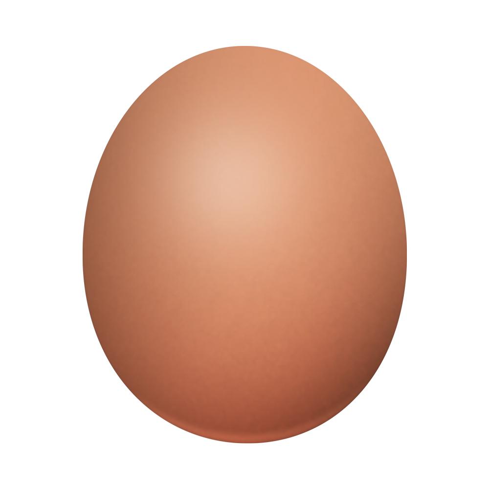 Egg Vector - image 1 - student project