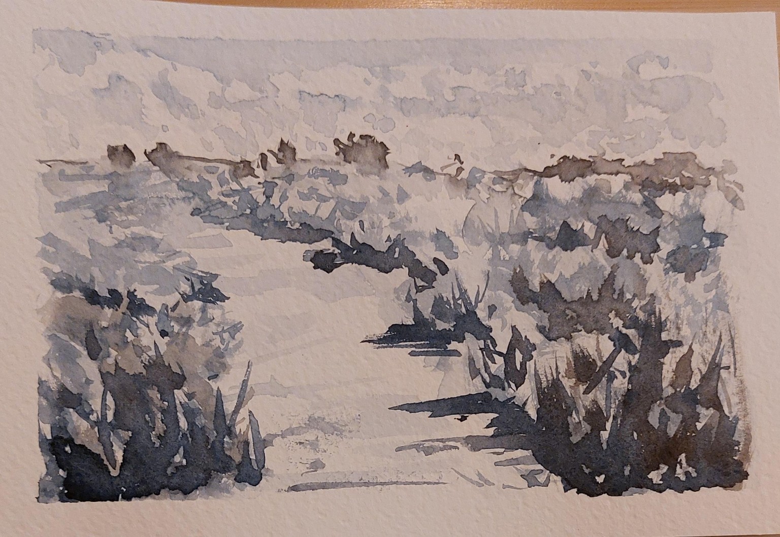 Path between bushes - image 1 - student project