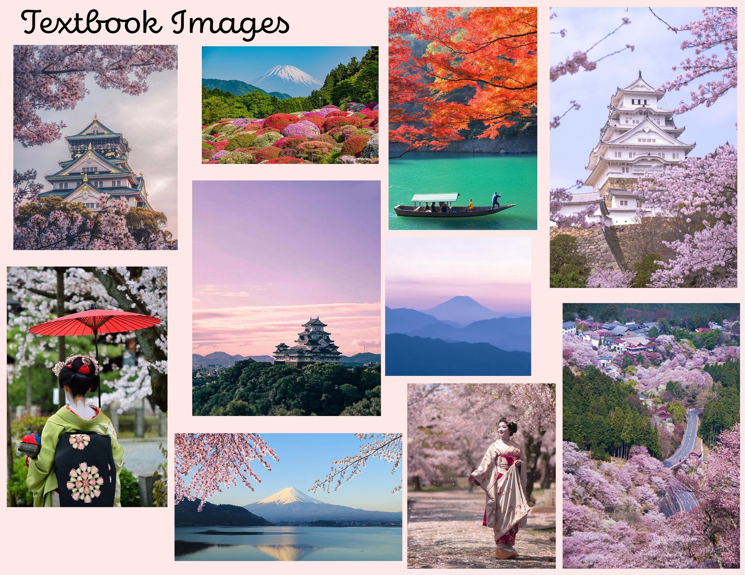Japanese 101 Textbook Cover Design - image 4 - student project