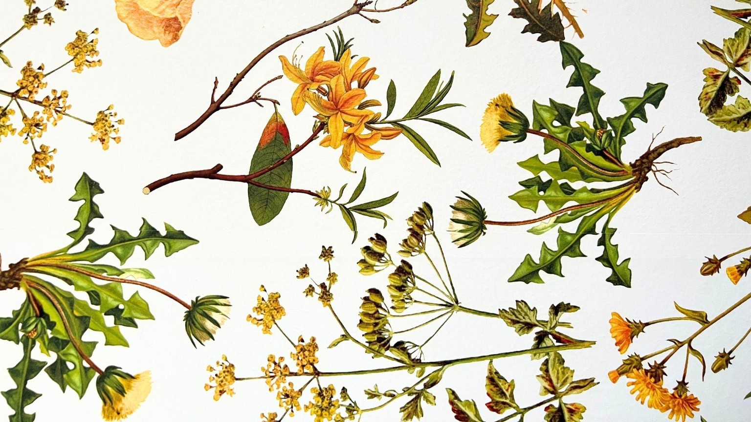 bedroom - a field of flowers and lounge room - a jungle retreat - image 2 - student project