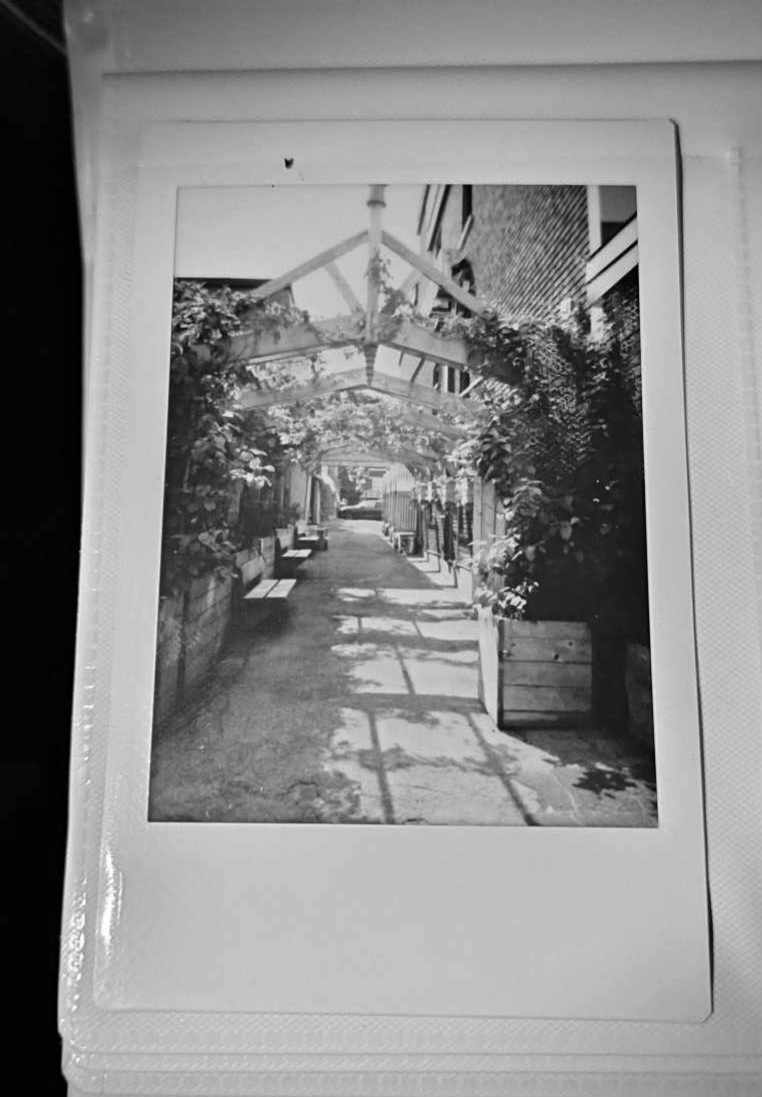 v3r - image 1 - student project