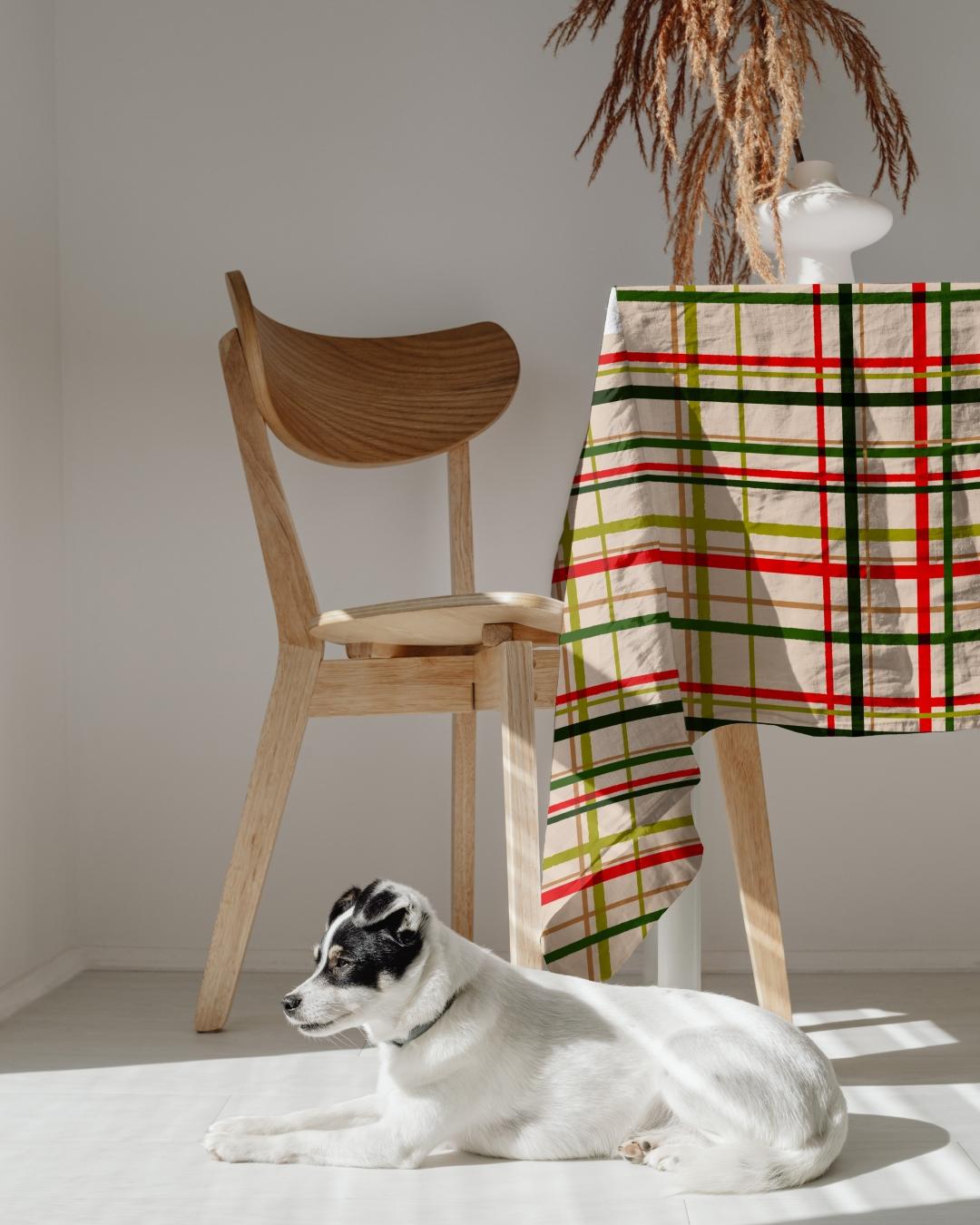 Plaid - image 1 - student project