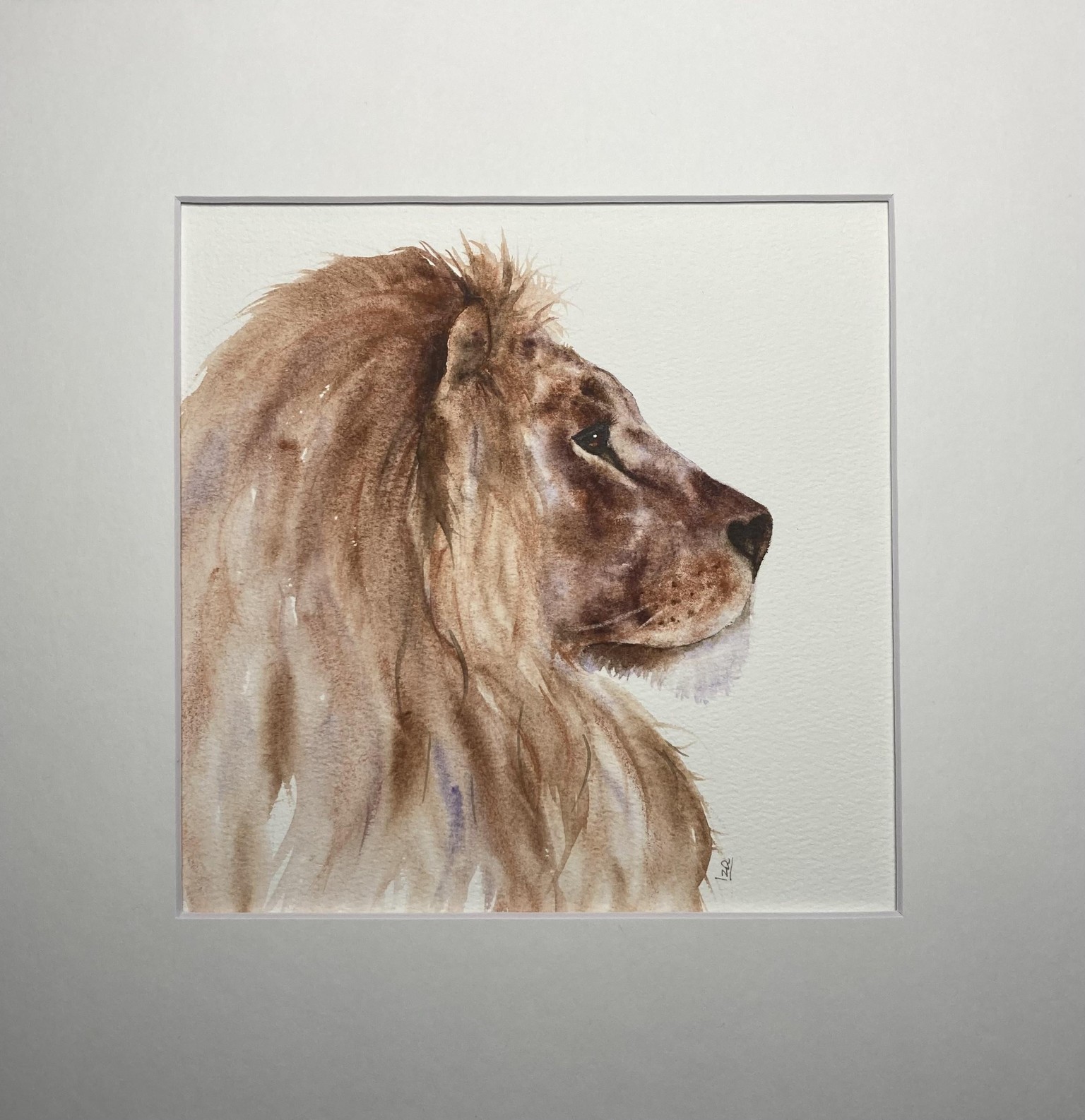 Lion - image 1 - student project