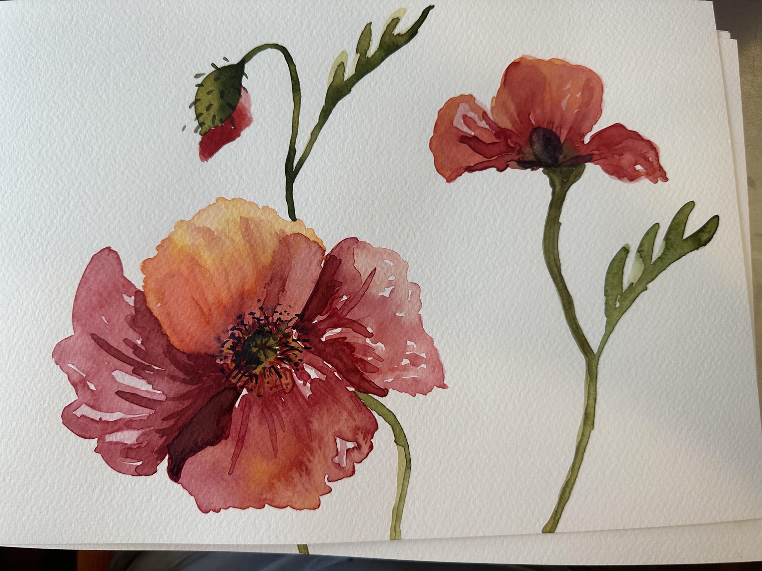 My three poppies - image 2 - student project