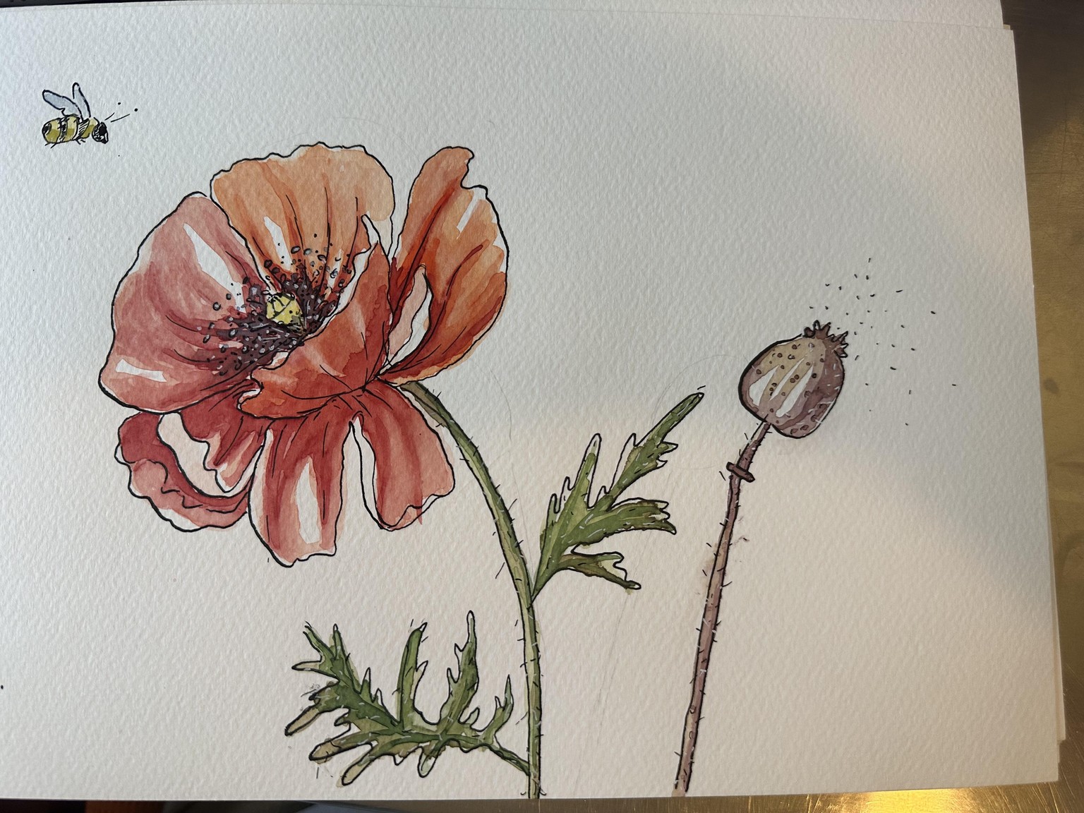 My three poppies - image 1 - student project