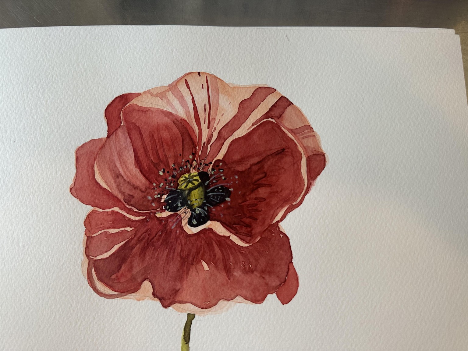 My three poppies - image 3 - student project