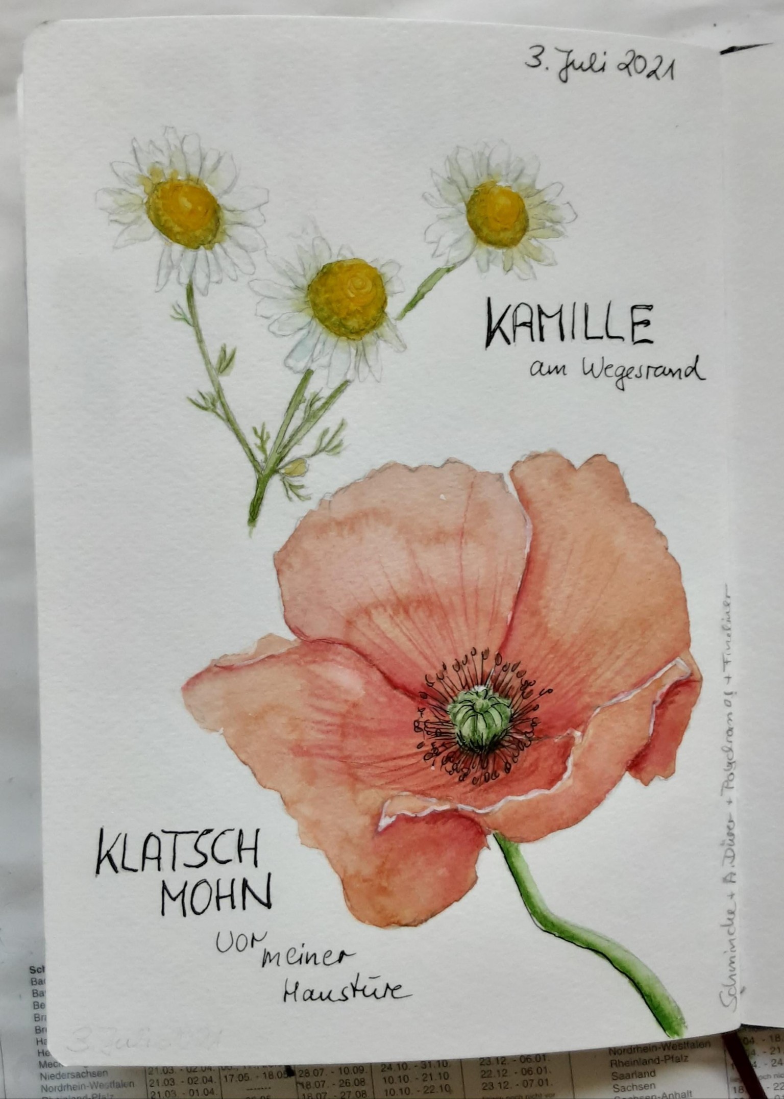 summer flowers - image 1 - student project