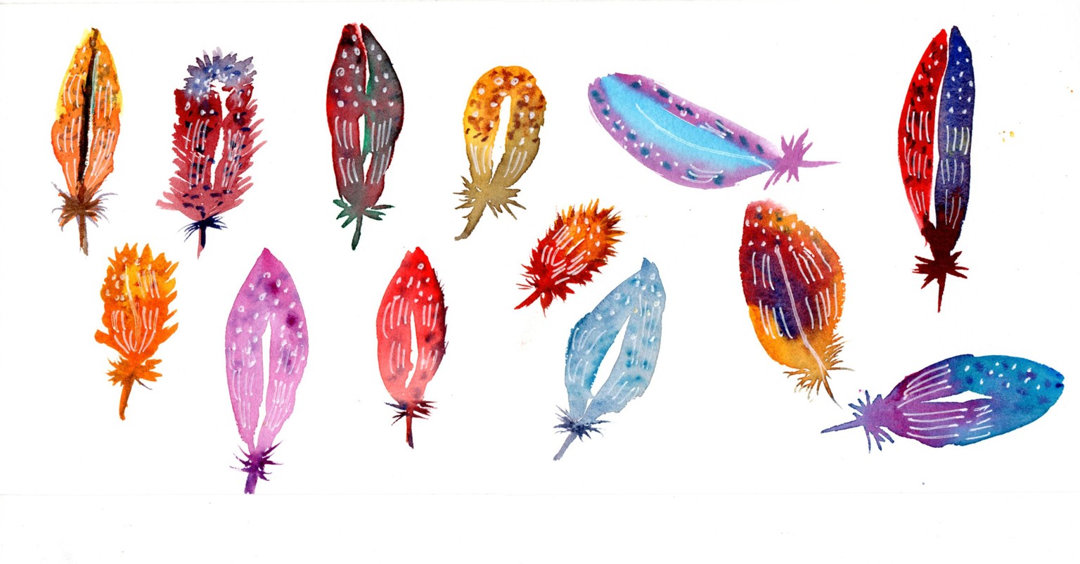 Very fun feathers - image 1 - student project